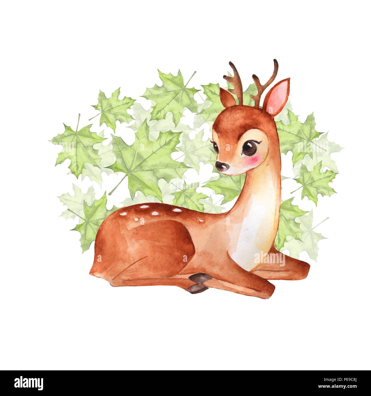 Baby Deer. Cute fawn. Watercolor illustration Stock Photo
