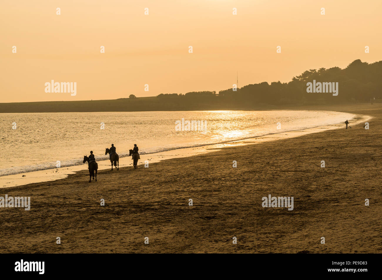 Group of friends riding their horses in the sea at Barry Island, Vale of Glamorgan, Wales. PHILLIP ROBERTS Stock Photo