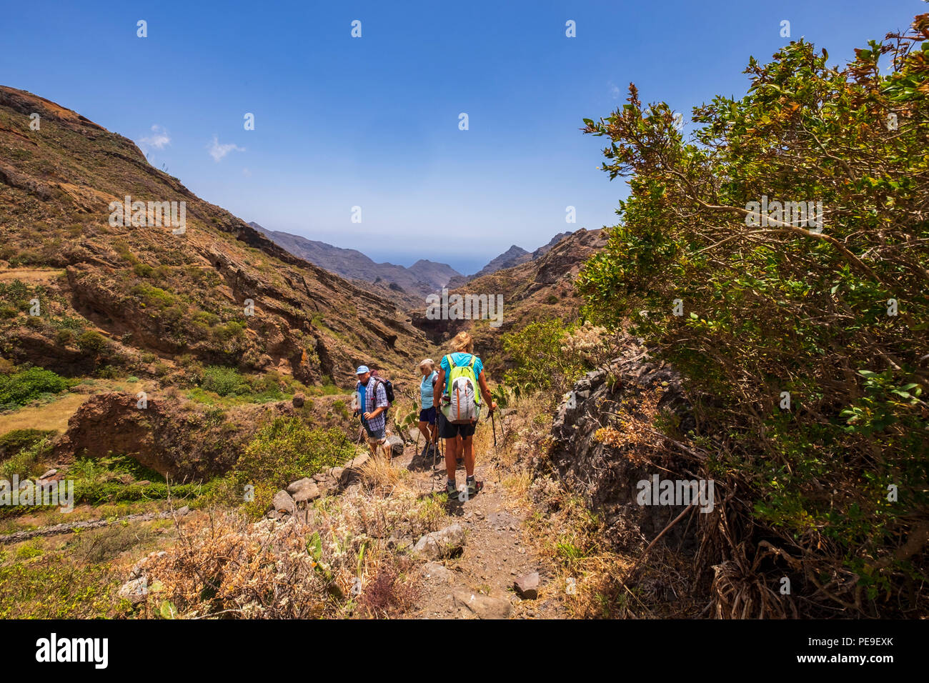 Walking trail into Valle Grande on the Canal de Catalanes walk, Anaga, Tenerife, Canary Islands, Spain Stock Photo