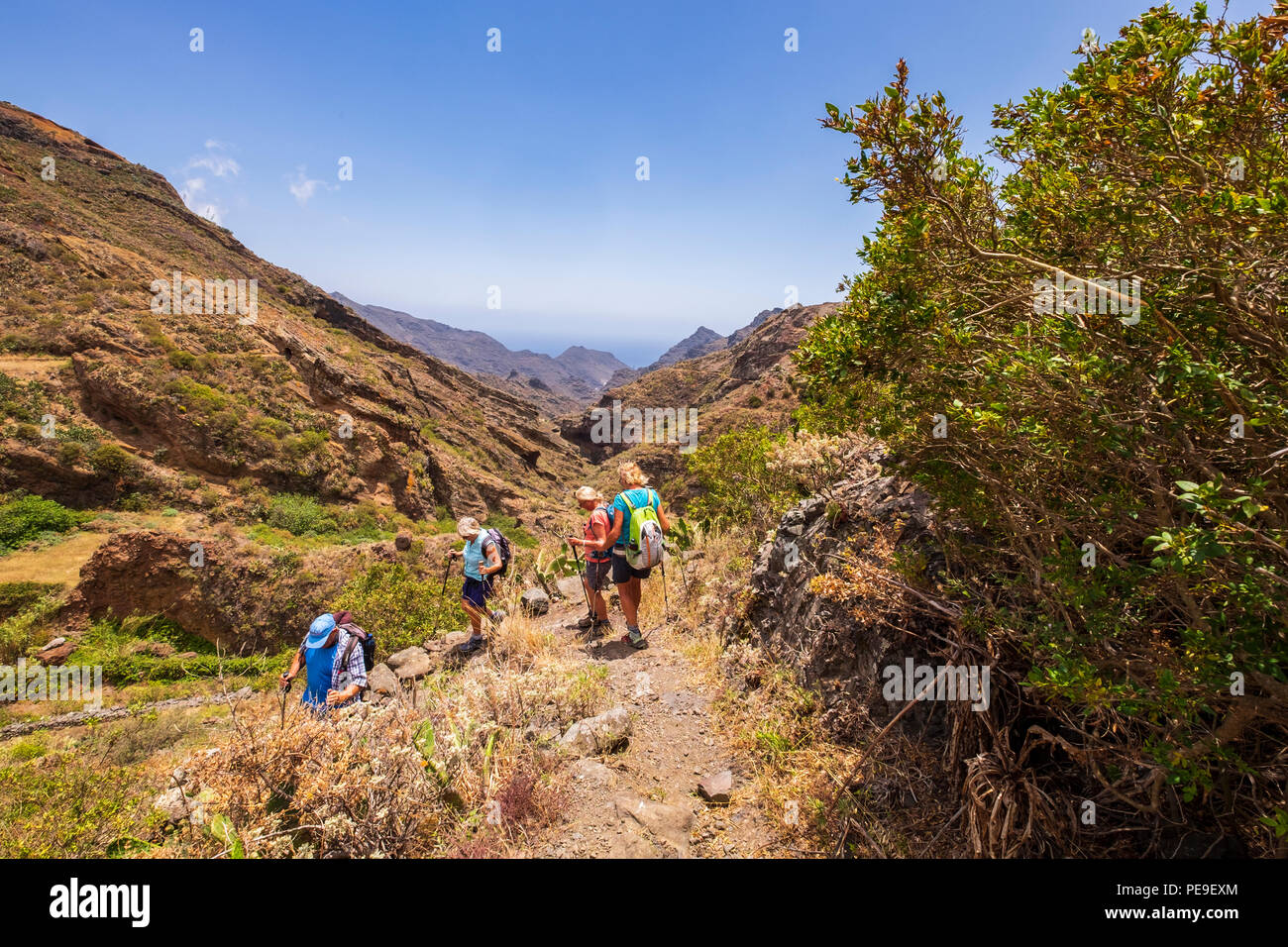 Walking trail into Valle Grande on the Canal de Catalanes walk, Anaga, Tenerife, Canary Islands, Spain Stock Photo