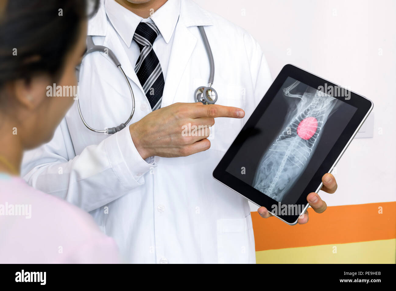 Artificial intelligence in smart healthcare hospital technology concept. Professional doctor use AI biomedical algorithm detect enlarged heart disease Stock Photo
