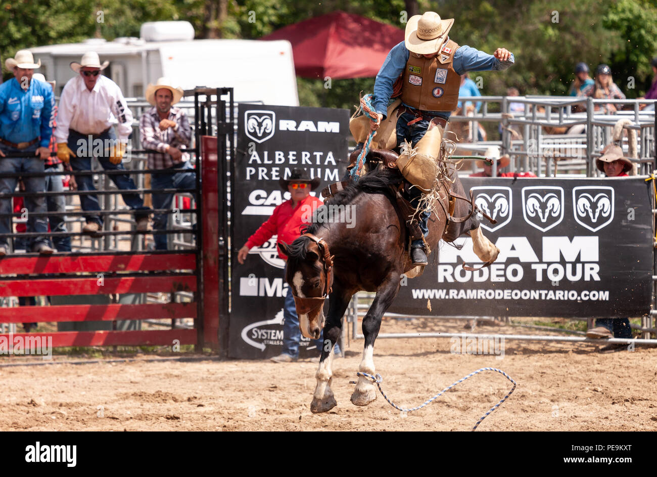 Professional cowboys compete in the saddle bronc portion of the 2018 Ram Rodeo Tour in Exeter, Ontario, Canada. Stock Photo