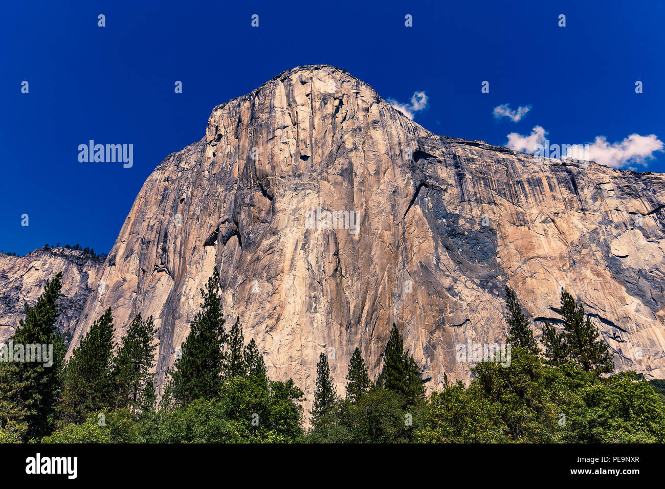 World famous rock climbing wall of El Capitan, Yosemite national park