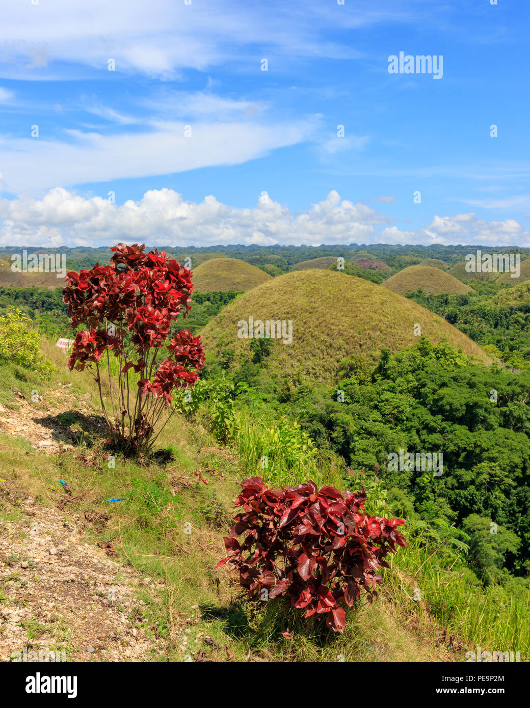 Chocolate Hills in Bohol, Philippines Stock Photo Alamy