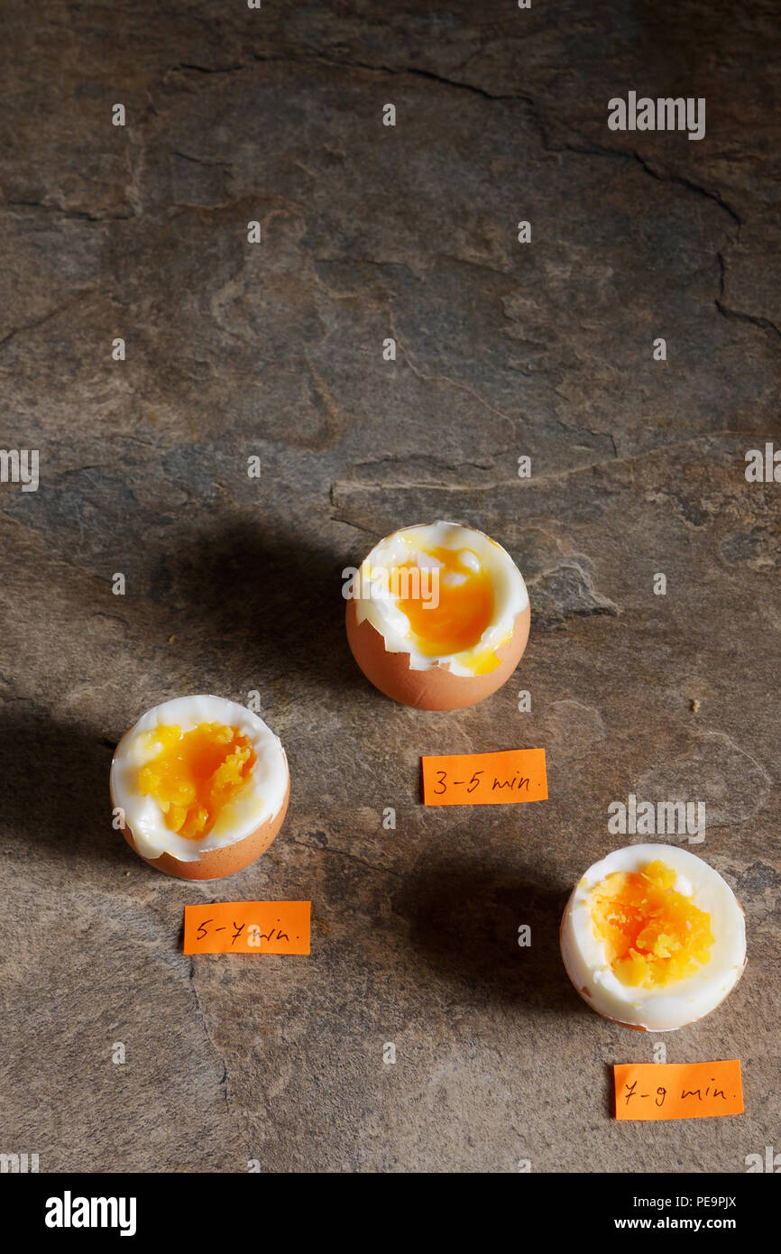 Boiled eggs by the minute on stone table Stock Photo