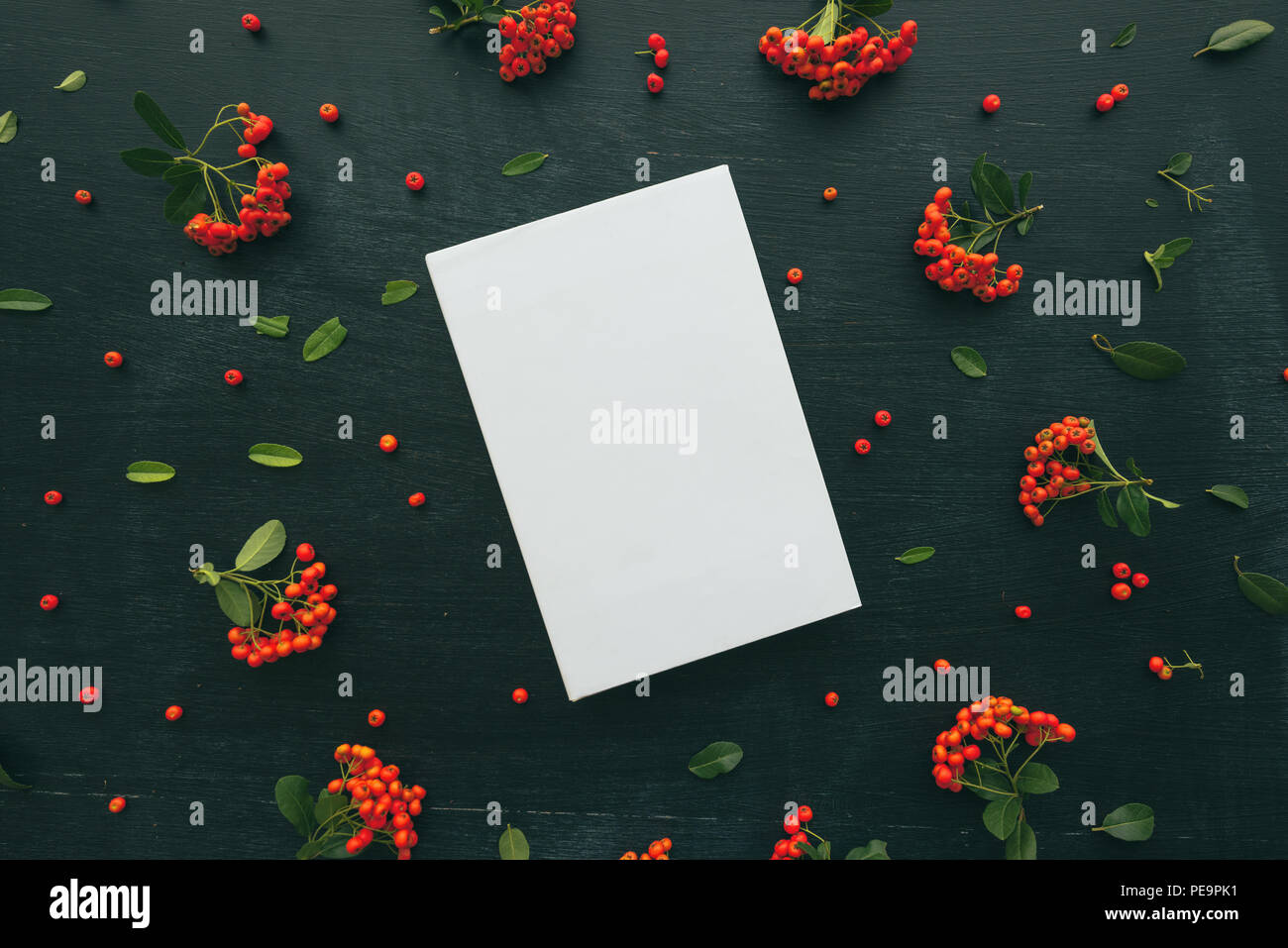 Hardcover book cover design mock up top view overhead shot with floral arrangement, retro toned flat lay minimalism Stock Photo