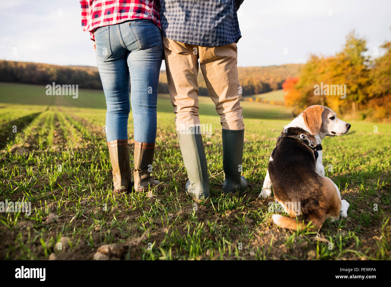 Senior couple with dog on a walk in an autumn nature Stock Photo - Alamy