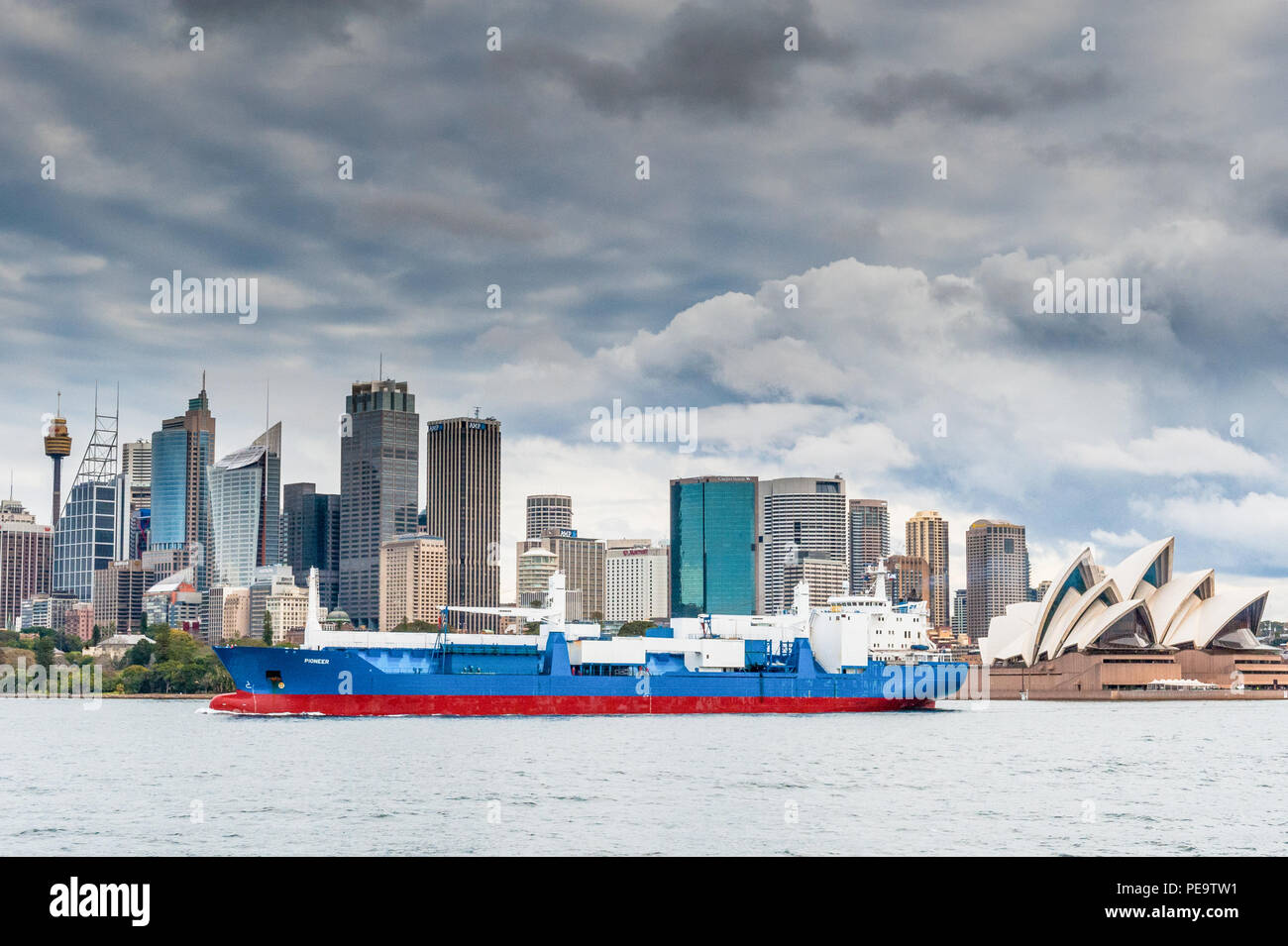 A massive cargo or container ship makes its way out of Sydney Harbour