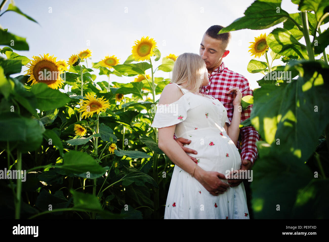 Pregnant couple in sunflowers field. Happy moments of pregnancy Stock