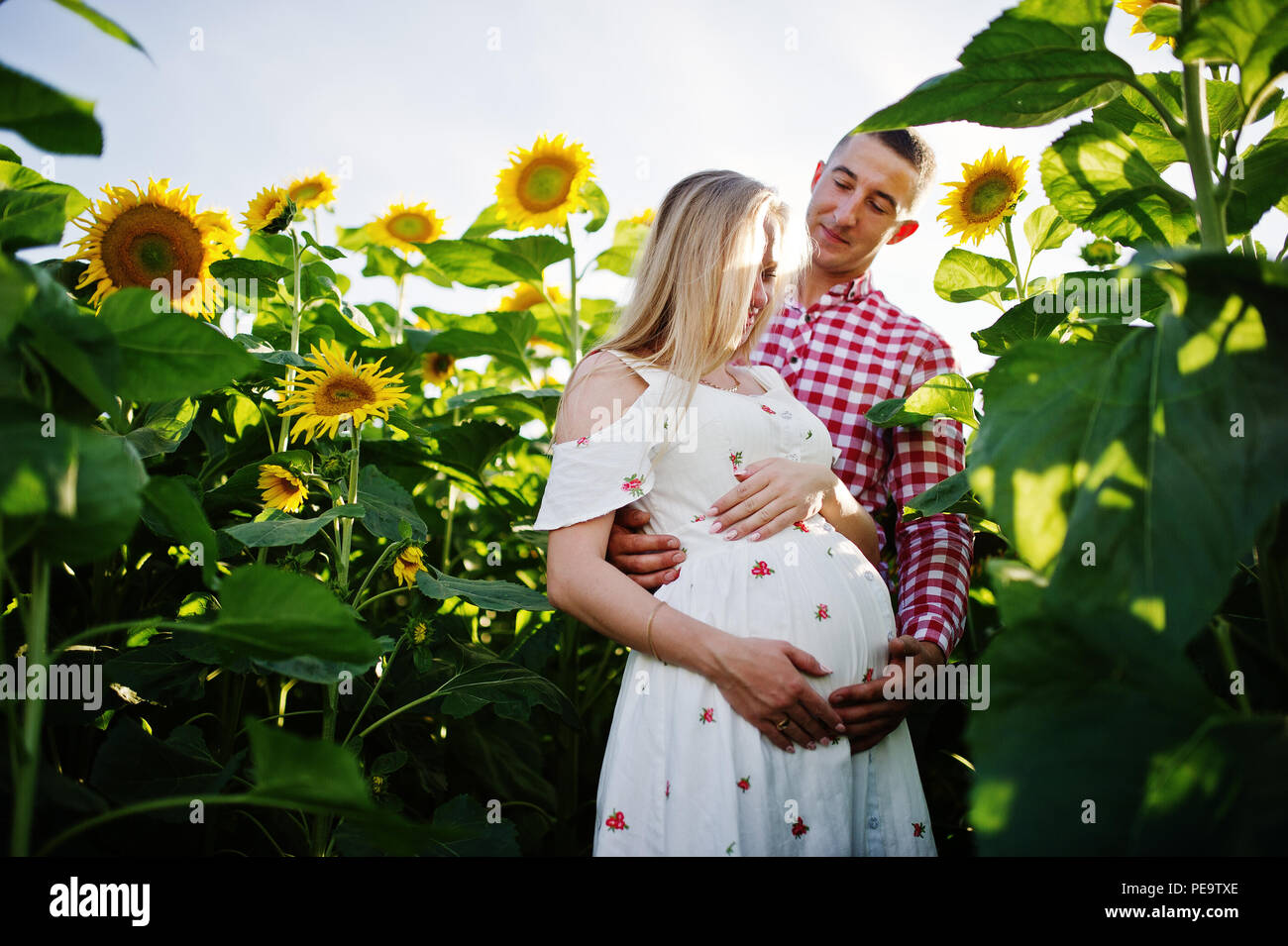 Pregnant couple in sunflowers field. Happy moments of pregnancy Stock