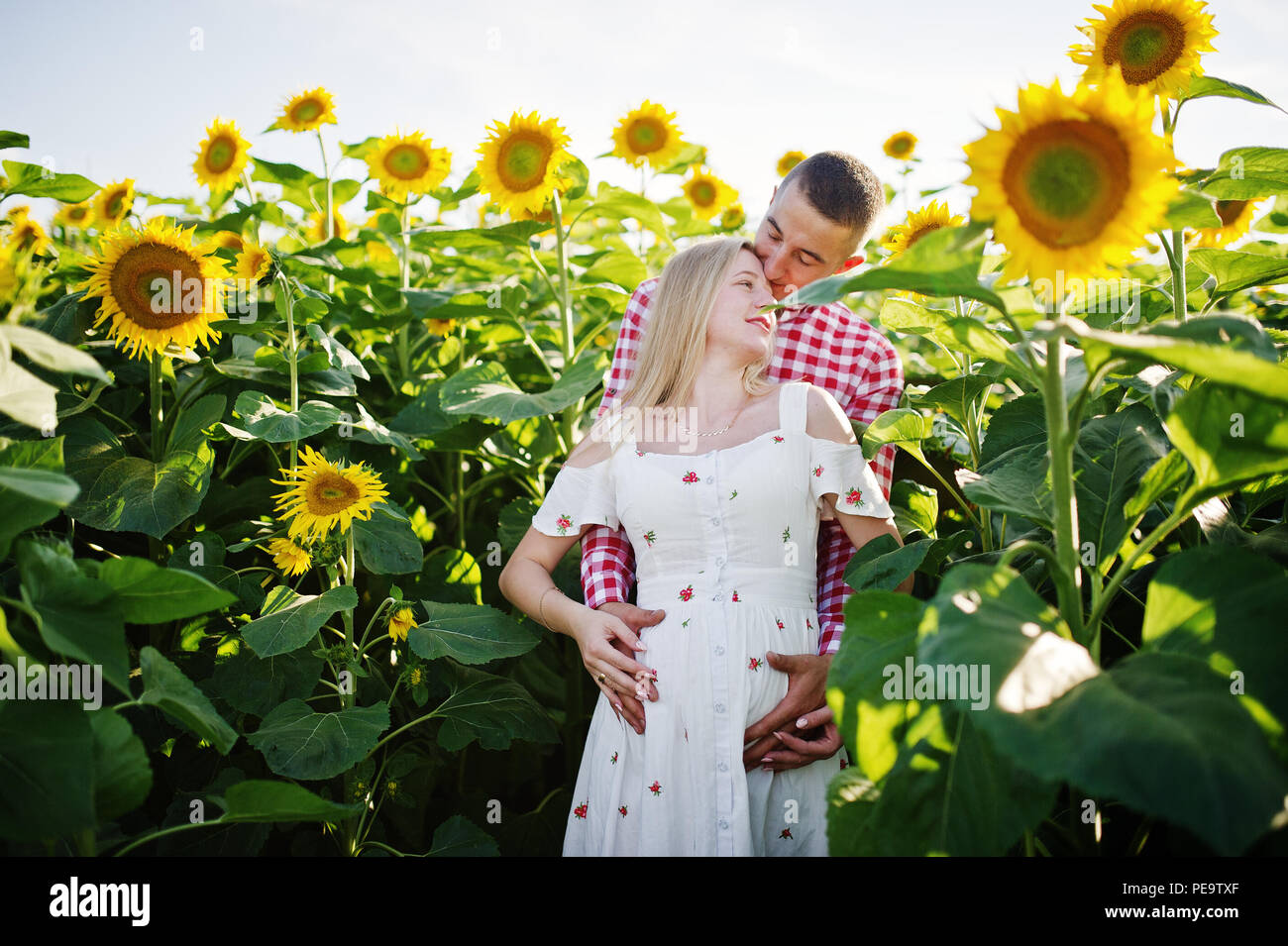 Pregnant couple in sunflowers field. Happy moments of pregnancy Stock