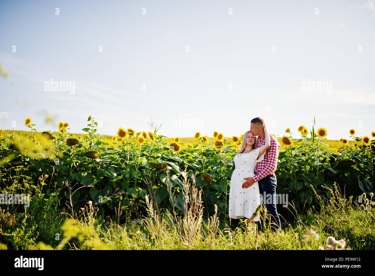 Pregnant couple in sunflowers field. Happy moments of pregnancy Stock