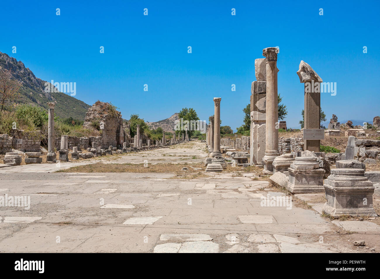 Arcadian Street (Harbor Street) in ancient Ephesus. Turkey Stock Photo