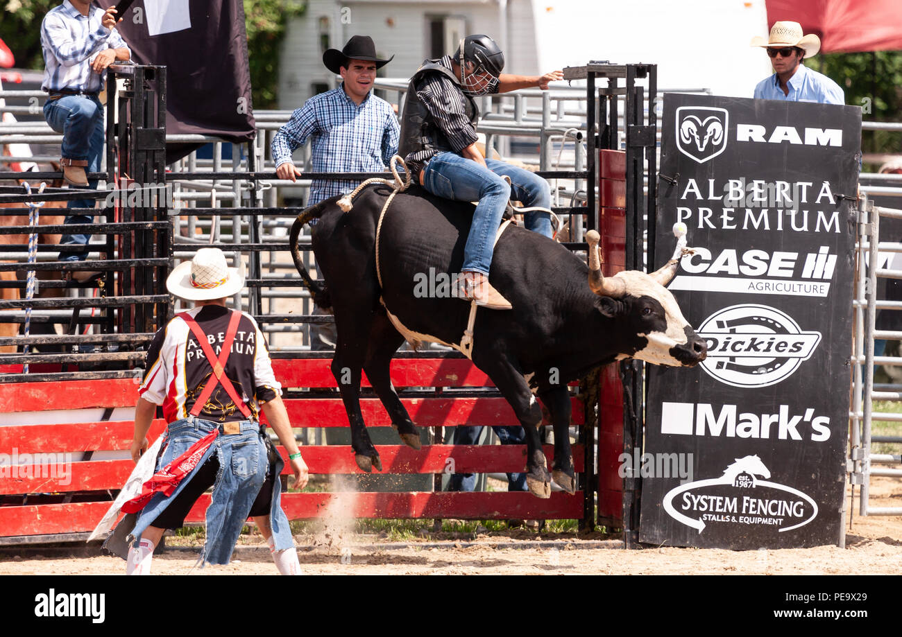 Professional cowboys compete in the bull riding portion of the 2018 Ram Rodeo Tour in Exeter, Ontario, Canada. Stock Photo