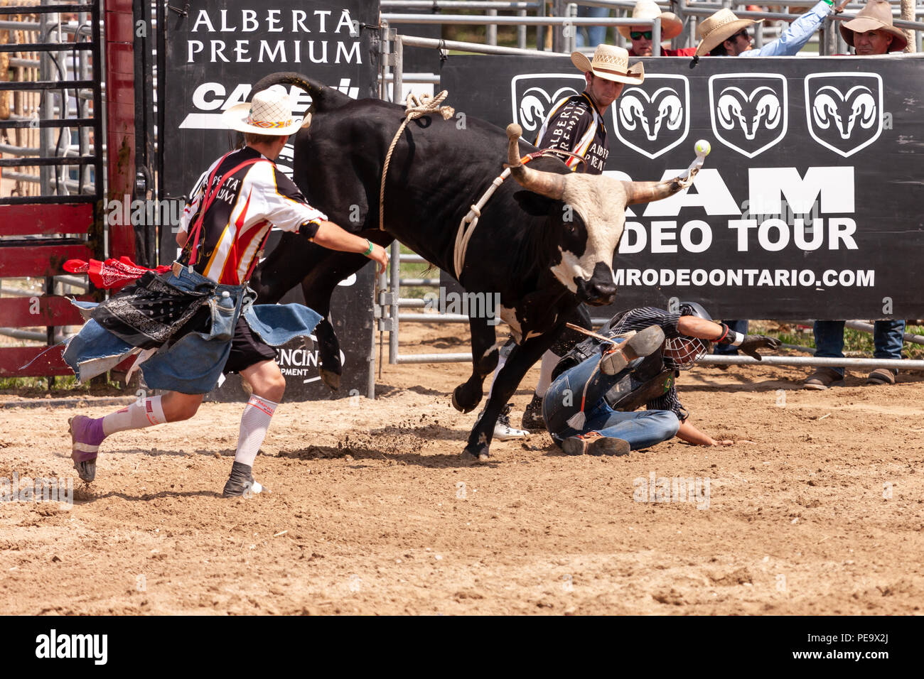 Ontario Rodeo Bull Riding Professional cowboys compete in the bull riding portion of the 2018 Ram ...