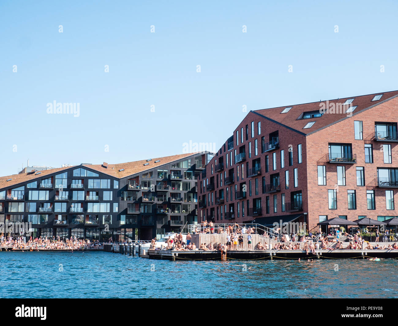 Heatwave, with Swimmers and Sunbathers, Copenhagen, Zealand, Denmark, Europe. Stock Photo