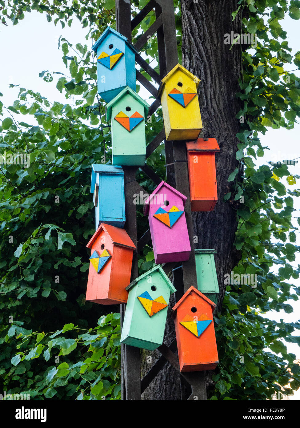 Coloured Bird Boxes, Copenhagen, Zealand, Denmark, Europe. Stock Photo