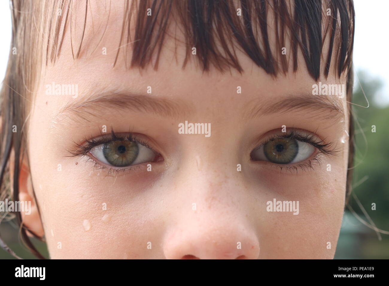 Closeup of a young child's green eyed intense gaze Stock Photo