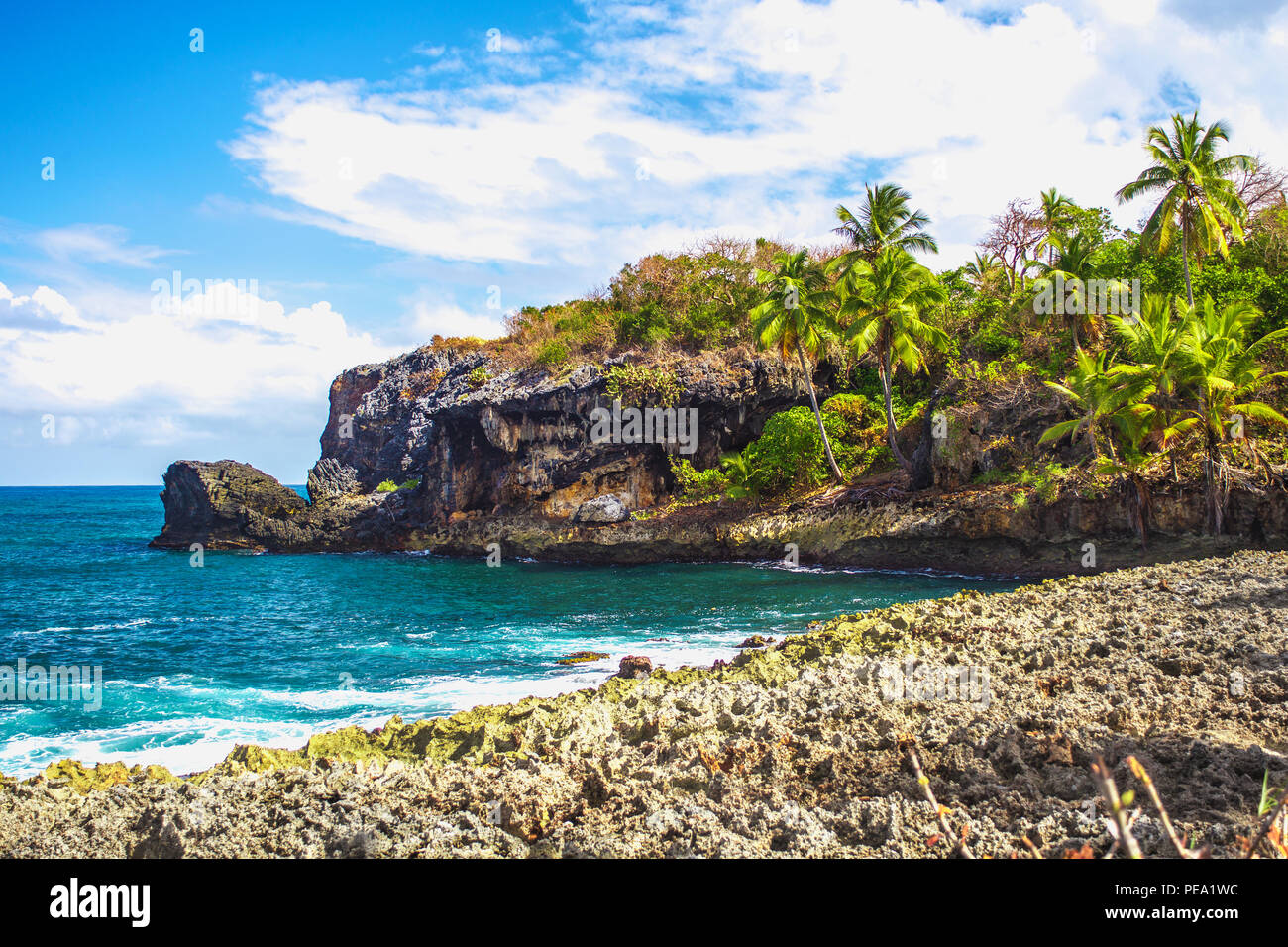 Wild tropical rocky shore, bay, lagoon. Sea Splash, Green palm trees on the rocks. Las Galeras, Samana, Dominican Republic Stock Photo