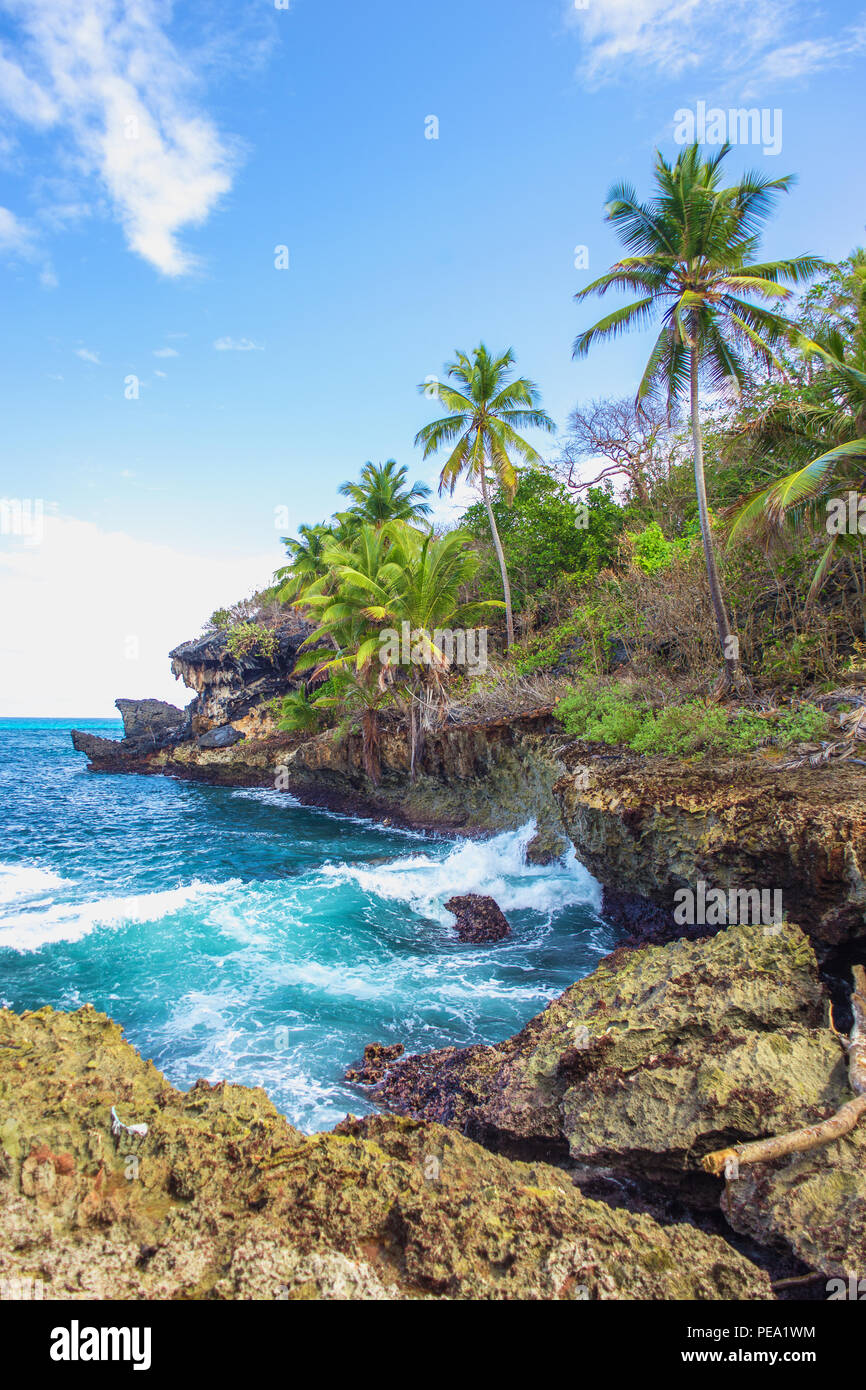 Wild tropical rocky shore, bay, lagoon. Sea Splash, Green palm trees on the rocks. Las Galeras, Samana, Dominican Republic Stock Photo