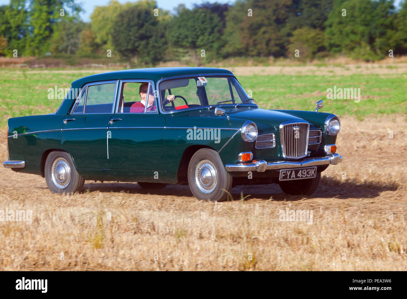 1971 Wolseley 16/60 1622cc Stock Photo