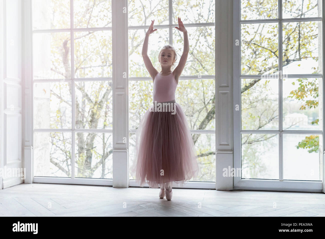 Young ballerina in a pink ballet tutu training in dance class