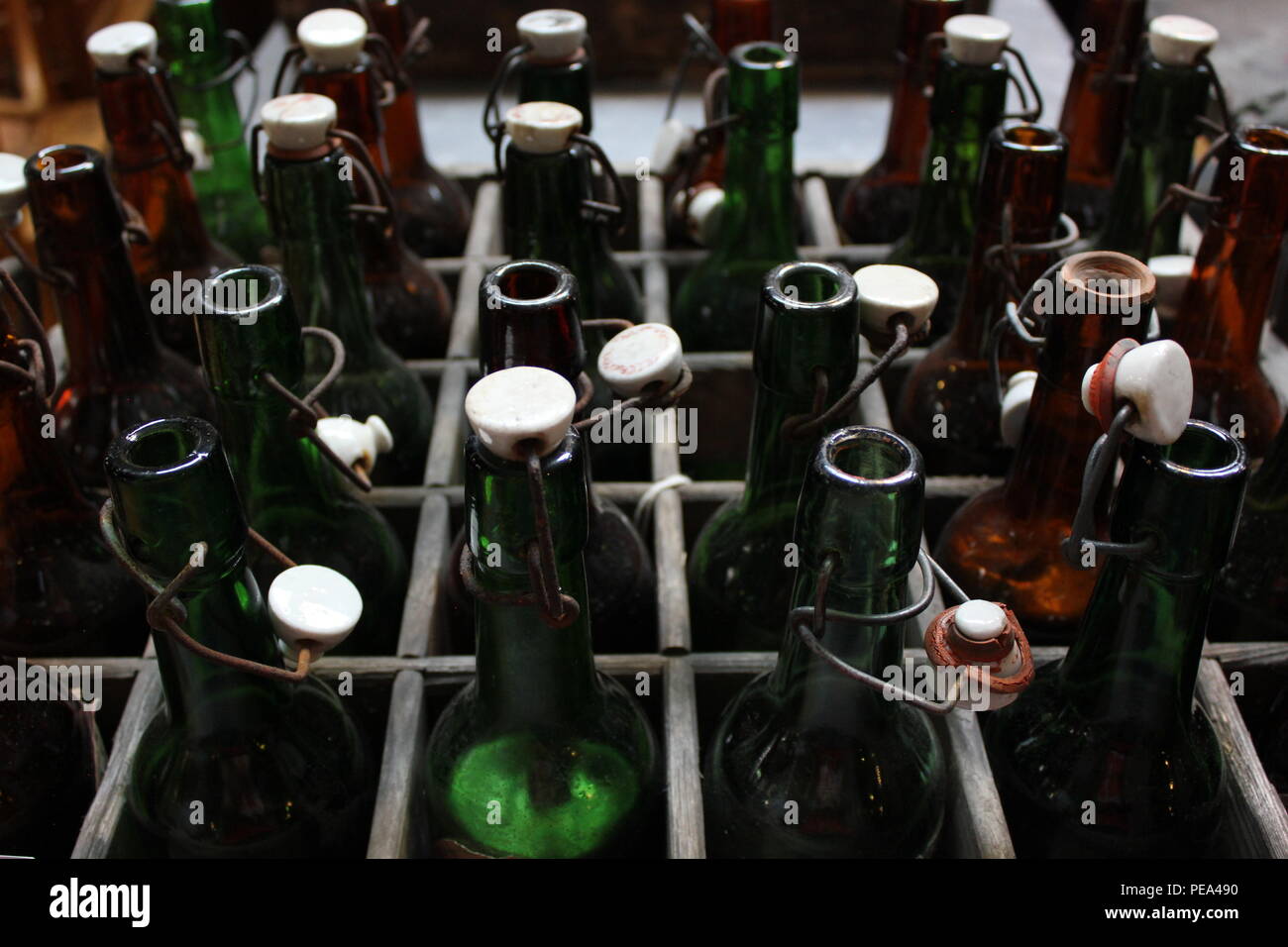 Wooden box of vintage green glass bottles with plastic caps at