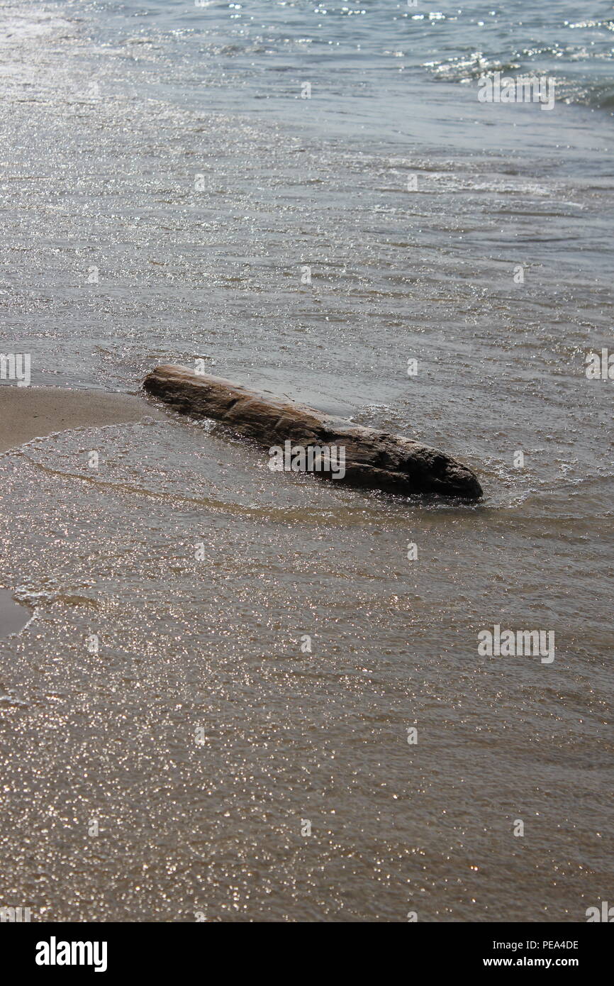 Large piece of driftwood at McKinley Beach at Union Pier, Michigan. Stock Photo