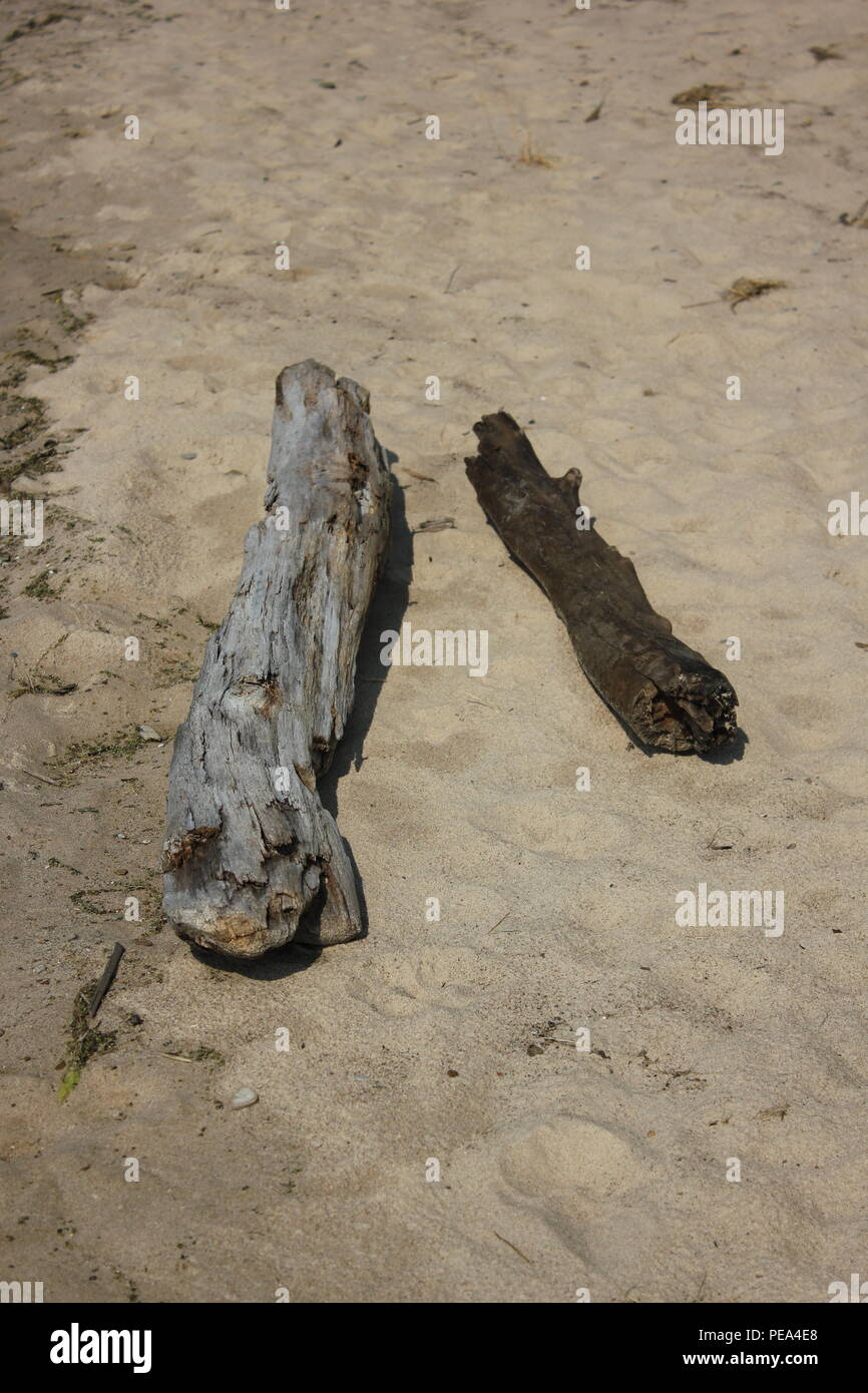 Beached drift wood at McKinley Beach at Union Pier, Michigan. Stock Photo