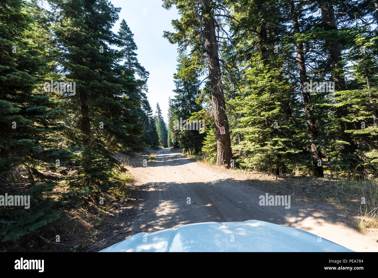 Forest road 5N01 Eagle Meadow road the Stanislaus National Forest with