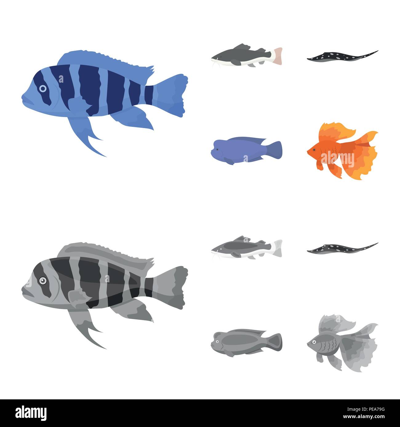 Frontosa, cichlid, phractocephalus hemioliopterus.Fish set collection icons in cartoon,monochrome style vector symbol stock illustration . Stock Vector