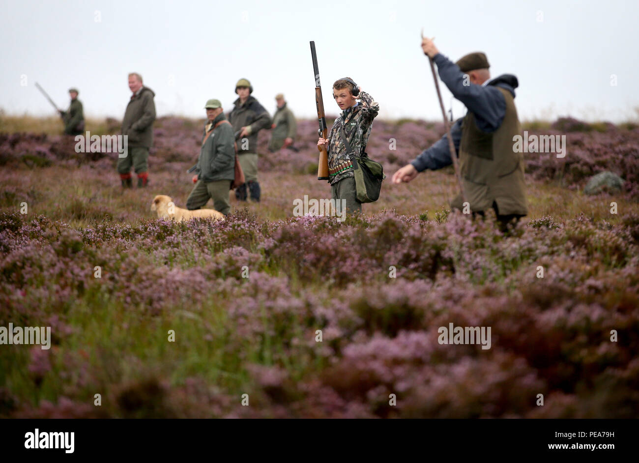 Members of a shooting party on Forneth moor near Dunkeld, Perthshire, as the grouse shooting season gets underway. Stock Photo