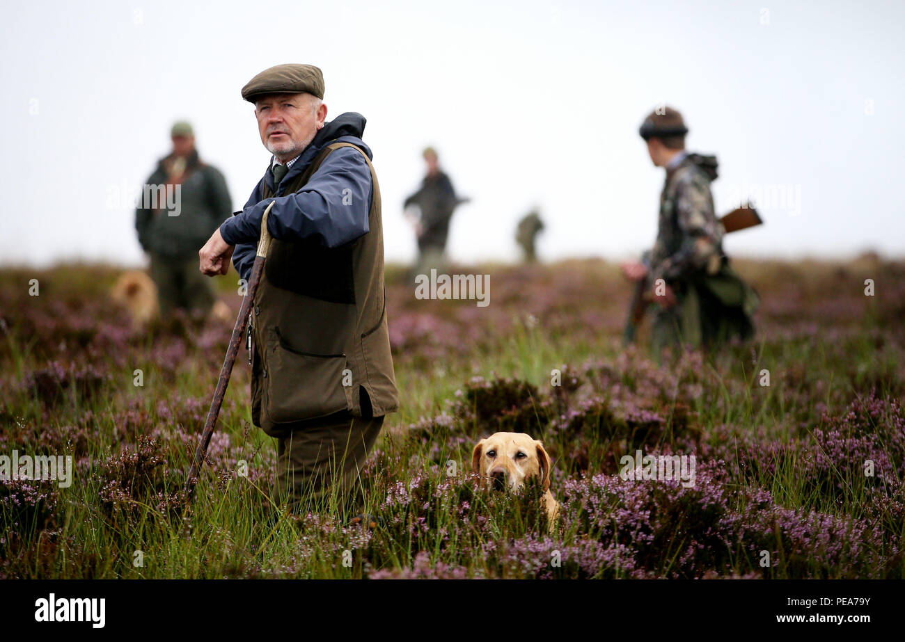 James Wotherspoon joins a shooting party on Forneth moor near Dunkeld, Perthshire, as the grouse shooting season gets underway. Stock Photo