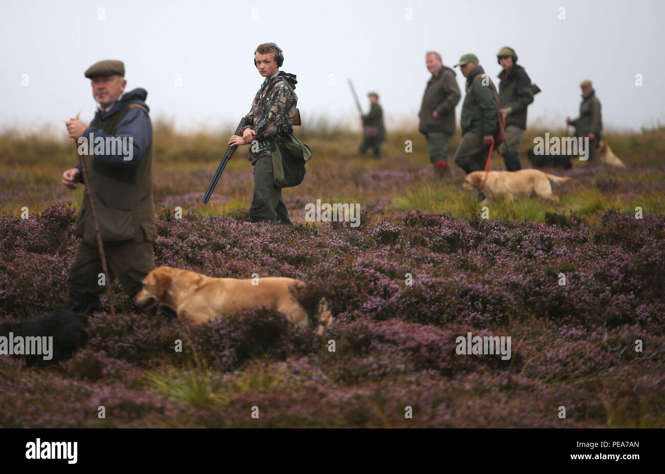 Members of a shooting party on moor near Dunkeld, Perthshire