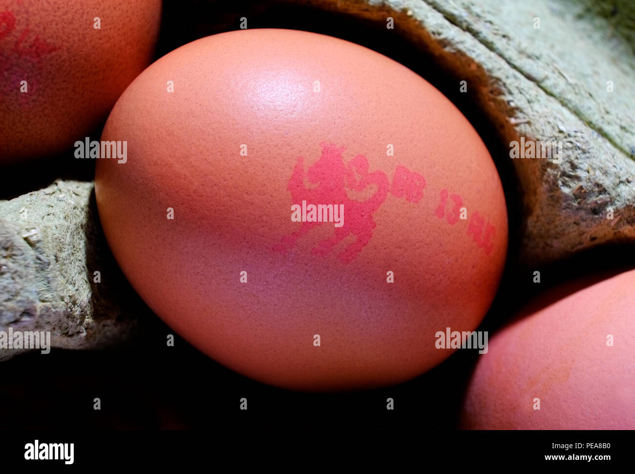 lion standard symbol on british egg Stock Photo