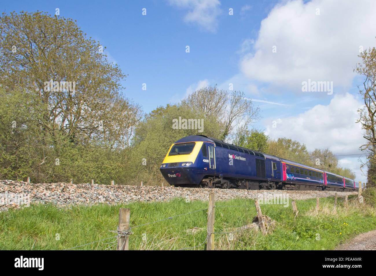 HST 43 Class diesel with passenger train on embankment with trees and blue sky. Stock Photo