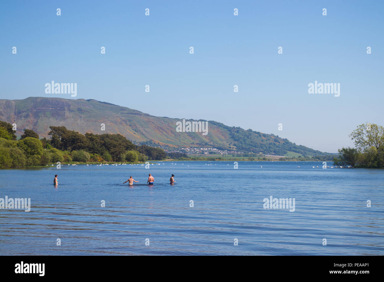 People swimming in Loch Leven Fife Scotland. Stock Photo