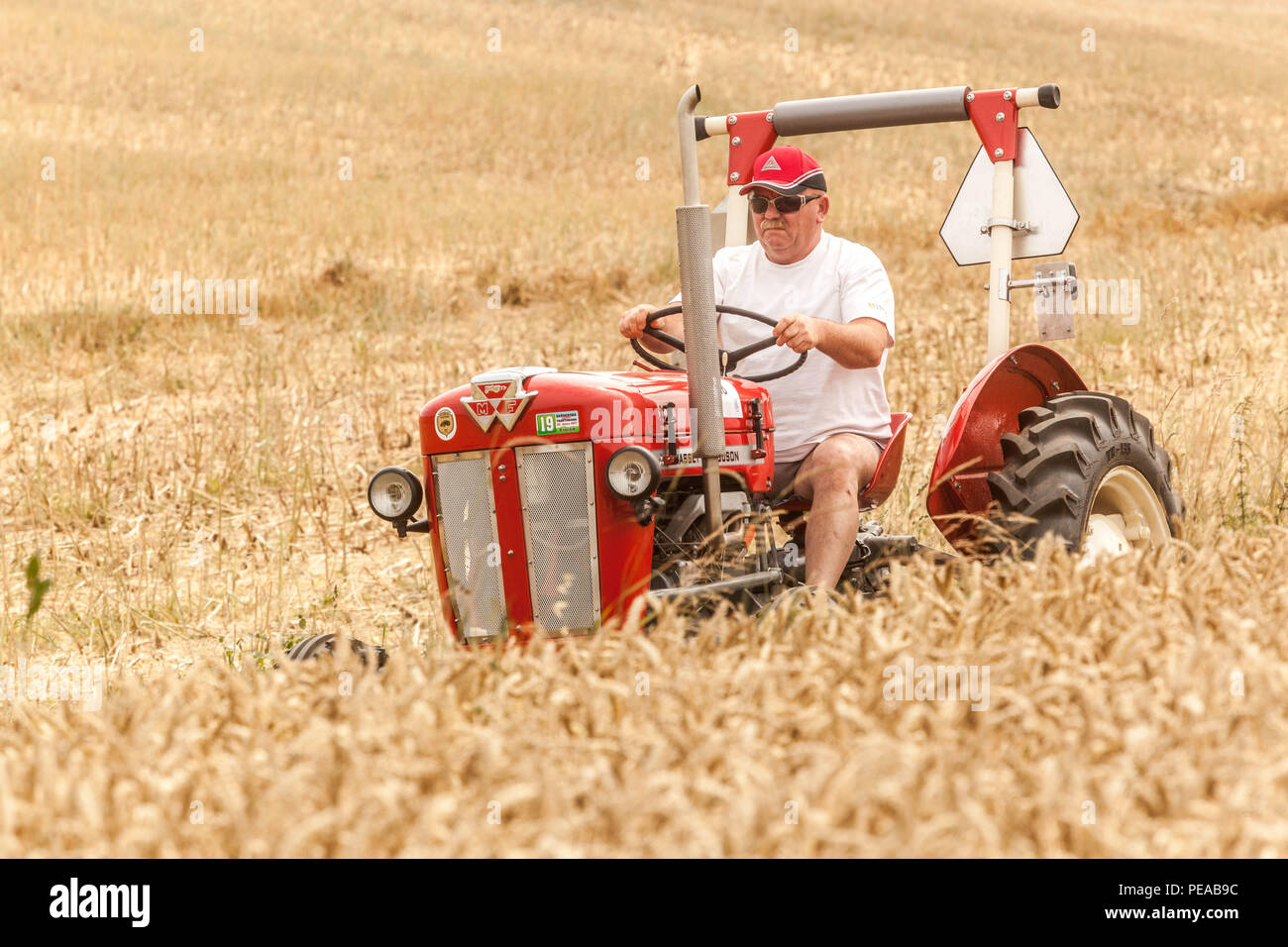 Veteran tractor Massey Ferguson tractor in the field of grain, Czech Republic Stock Photo