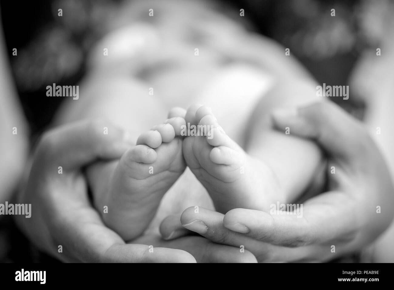 Feet of a newborn baby in the hands of parents. Happy Family oncept. Mum and Dad hug their baby's legs. Stock Photo