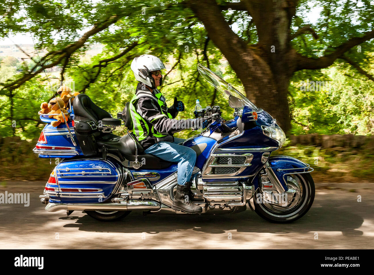goldwing riders