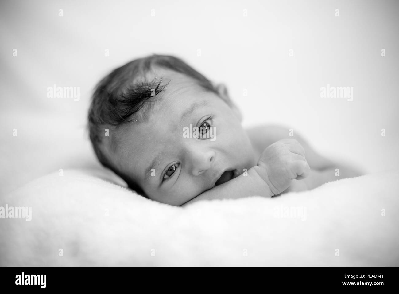 Cute newborn baby on a blanket - happy family moments concept Stock Photo