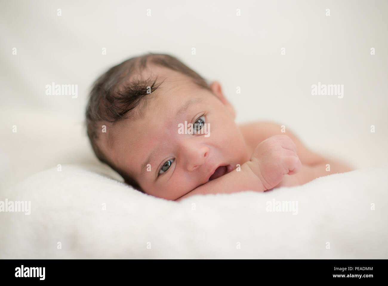 Cute Newborn Baby On A Blanket Happy Family Moments Concept Stock