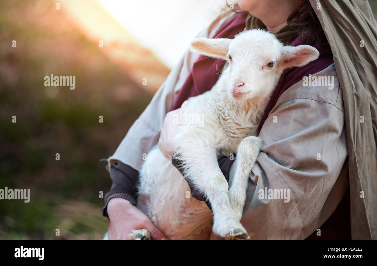 Shepherd holds lamb hires stock photography and images Alamy