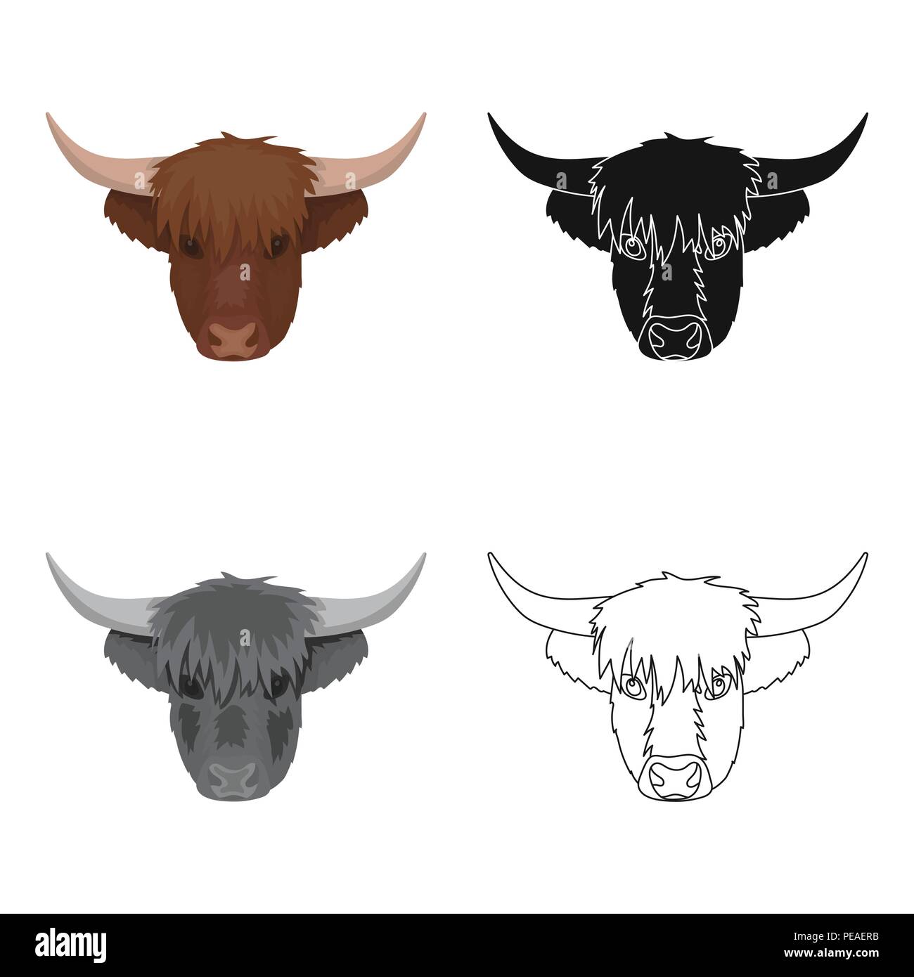 agriculture,animals ,art,beef,bizarre,bull,calf,cartoon,cattle,country,cow,culture,cute,design,domestic,farm,fun,fur, hair,hairstyle ,head,highlands,hoofed,horned,icon,illustration,isolated,livestock,logo,mammal,nature,nose,ox, pets,scotland,scottish ...