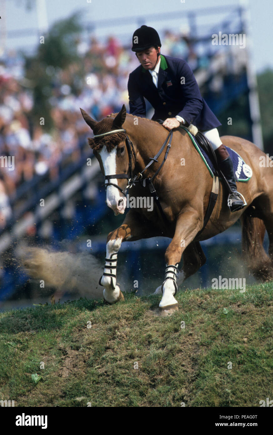 Silk Cut Derby, Hickstead, 1995, John Whitaker, (GBR) riding Roddy's  Revenge over the Irish Bank Stock Photo - Alamy