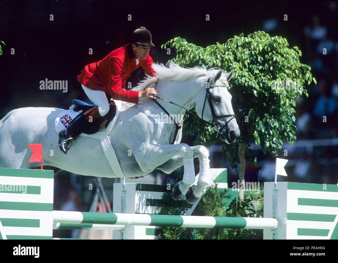 World Equestrian Games, Stockholm, 1990 Stock Photo Alamy