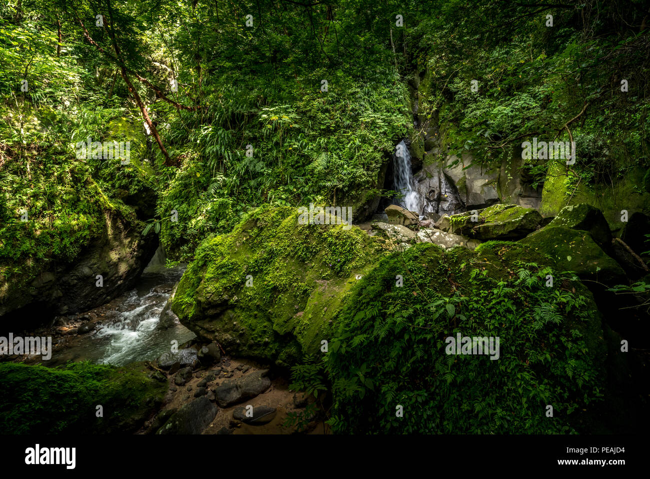 Small river or creek with small waterfall nature scenery landscape Stock Photo