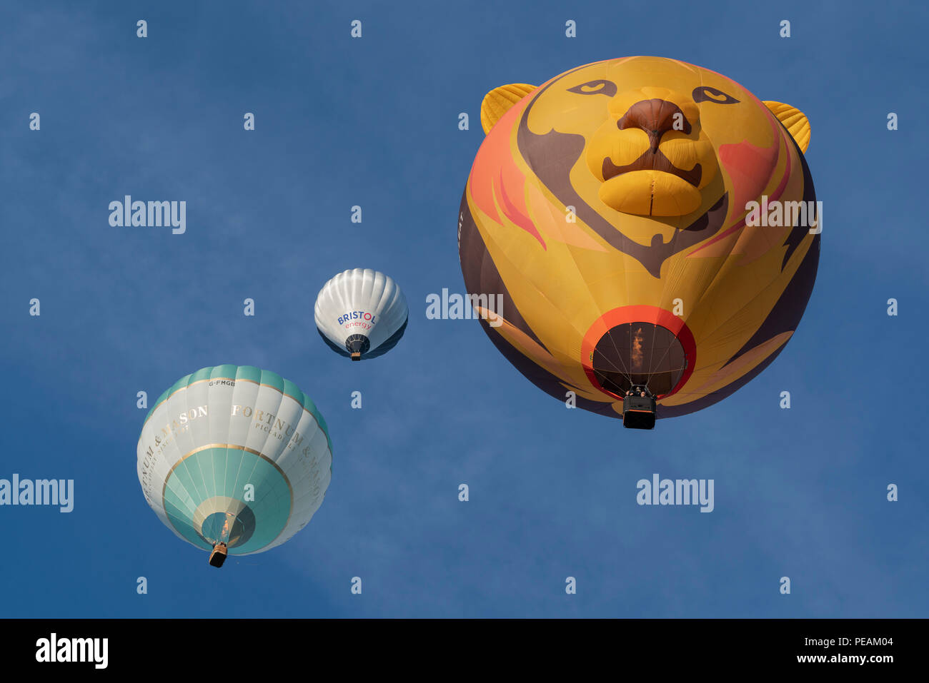 Hot air balloons pictured during a mass ascent on the morning of 11 August 2018 during the Bristol International Balloon Fiesta. Stock Photo