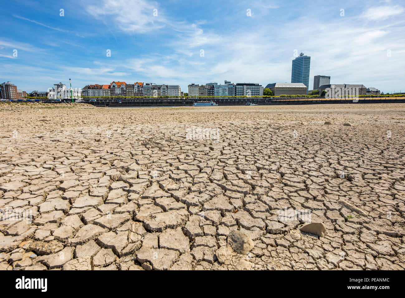 The river Rhine near Dusseldorf, extreme low tide, Rhine level at 84 cm,  after the long drought falls the left bank of the Rhine, dry at Dusseldorf  Ob Stock Photo - Alamy