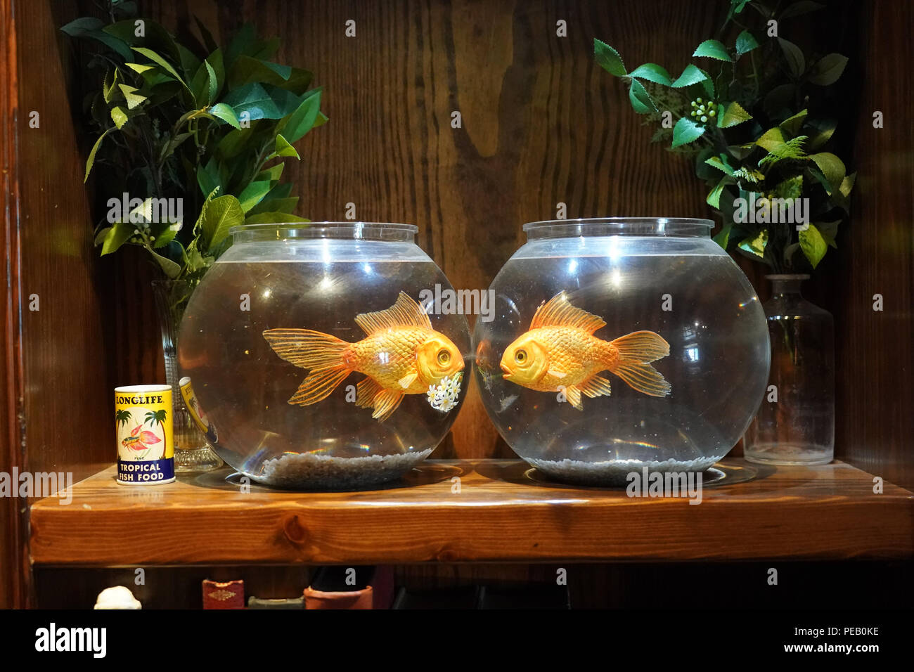 Fake gold fish in bowls in the Walled Off Hotel (owned by Bansky) near